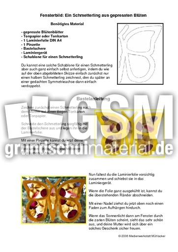 Fensterbild-Schmetterling.pdf